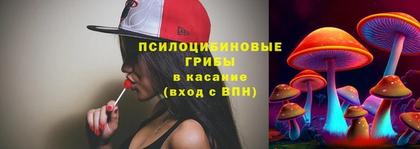 МДПВ Богданович