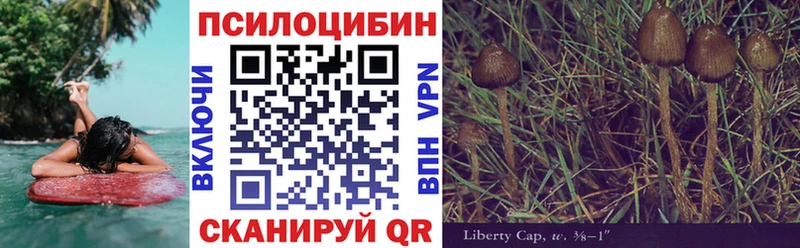 Галлюциногенные грибы Cubensis  Красноярск 