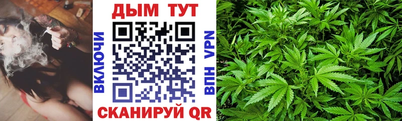 Конопля план  Красноярск 